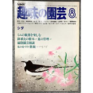 値下げ NHK 趣味の園芸 昭和56年 8月 シダ ミニの観葉を楽しむ