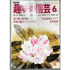値下げ NHK 趣味の園芸 昭和54年 6月 夏の庭の病害虫 初夏の魅力・ハナショウブ 多肉植物 小品盆栽を増やす