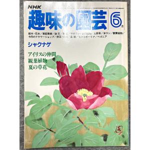 値下げ NHK 趣味の園芸 昭和56年 6月 シャクナゲ アイリスの仲間