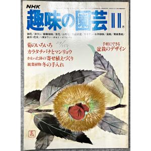 値下げ NHK 趣味の園芸 昭和55年 11月 菊のいろいろ カラタチバナとマンリョウ