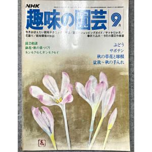 値下げ NHK 趣味の園芸 昭和53年 9月 ぶどう サボテン 秋の草花と球根 盆栽〜秋の手入れ