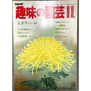値下げ NHK 趣味の園芸 昭和58年 11月 大ギク ユリ 洋ラン 小品盆栽 球根の堀りあげ 落葉花木