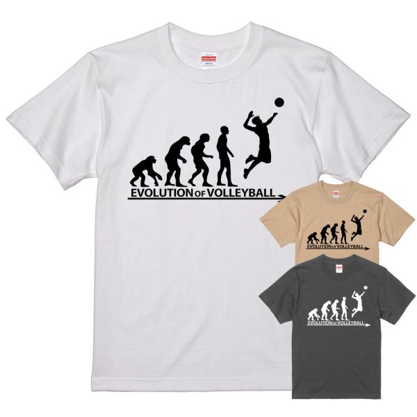 進化 EVOLUTION Tシャツ バレーボール 排球  男子バレー ( 白 ライトベージュ 黒 ）