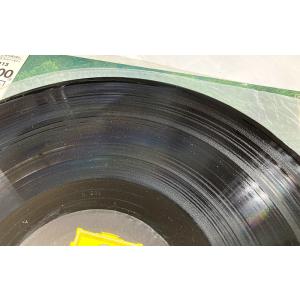 チャイコフスキー バレエ組曲 白鳥の湖 ヴィト...の詳細画像3