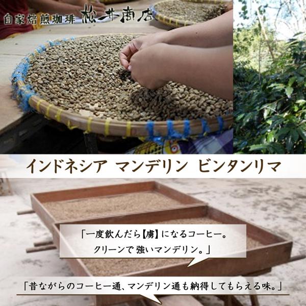 【苦み】マンデリン ビンタンリマ　200g
