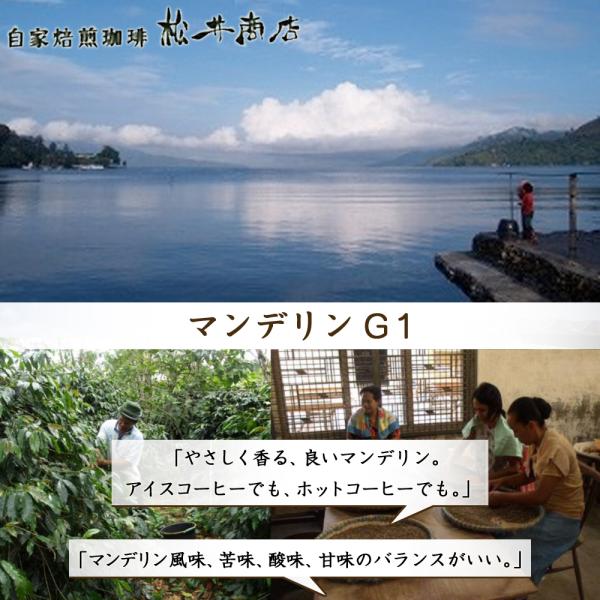 【苦み】マンデリン G1　200g