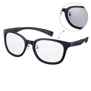 SWANS（スワンズ） ディーエフパスウェイ Df pathway 偏光レンズモデル