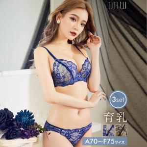 育乳 脇高ブラジャー ショーツ セット 補正下着 レーシィ タイニー フラワー 育乳 脇高 ブラジャー & バック透け フルバック & Tバック ショーツ｜dazzy