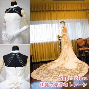 ワタベウェディング JEWEL ジュエル プリンセスライン 8号 ワン 