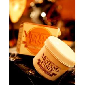 MUSTANG PASTE 100(マスタングペースト100)