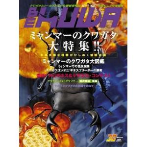 BE-KUWA30　送料サービス BEKUWA30