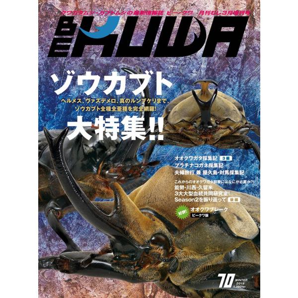 BE-KUWA70号　ネコポス便送料無料 BEKUWA70