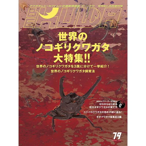 BE-KUWA79号　早い！ネコポス便送料無料 BEKUWA79 ポイント10倍