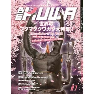 BE-KUWA87号　早い！ネコポス便送料無料 BEKUWA87｜どら猫屋