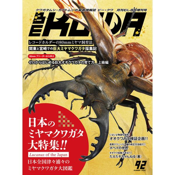 BE-KUWA92号　クロネコゆうパケット送料込み BEKUWA92