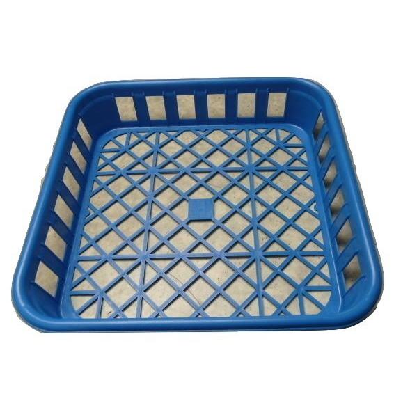 クリア・ワイド800菌糸ビン用 ボトルコンテナ１0個 BK1100-16-10