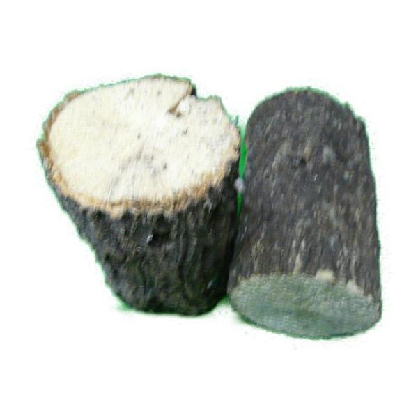 BS規格：クヌギ ホダ木 産卵木（B品）　約7cm以下 1本 SN-70KB