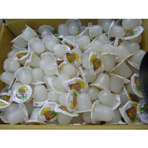 お買い得!ペロリアン 昆虫ゼリー(無着色)16...の詳細画像1