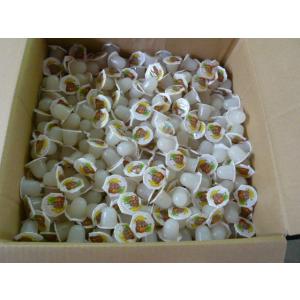 お買い得!ペロリアン 昆虫ゼリー(無着色)16...の詳細画像2