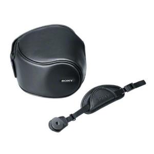 Panasonic（パナソニック） △ ビデオカメラ：NV-DL1 中古品/動作