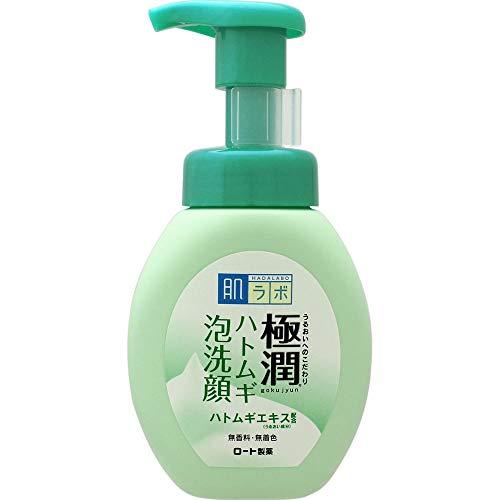 2個まとめ買い肌ラボ 極潤 毛穴洗浄 大人ニキビ予防 ハトムギ泡洗顔 本体160mL