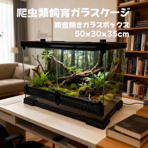DMB爬虫類ケージ 50×30×35cm 50...の詳細画像5