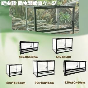 大型ガラス飼育ケージ、爬虫類両生類飼育ケージ、オリジナル自社製 爬虫類ケージ リクガメ ヤモリ トカゲ レオパード ヘビ リス 両生類 ヤドカリ