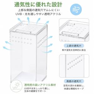 爬虫類両生類 アクリル飼育ケージ(7.5x7....の詳細画像3