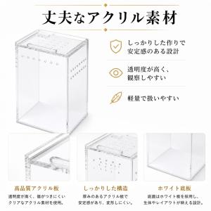 爬虫類両生類 アクリル飼育ケージ(7.5x7....の詳細画像4