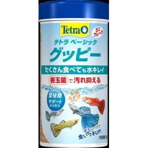 スペクトラム　ブランズ　ジャパン テトラ　ベーシック　グッピー/60g｜dcmonline