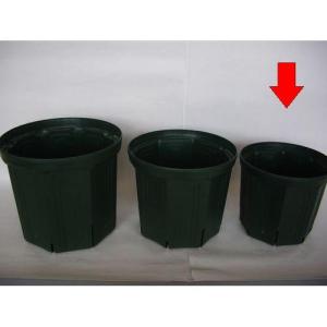 サカタのタネ CSMポット/240 モスグリーン Φ240mmx高さ210mm。