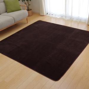 イケヒコ コーポレーション ピオニーHCC IT/9810246 ブラウン/約200×250cm