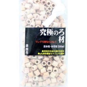 (株)B-blast 究極のろ材　微酸性 500ml