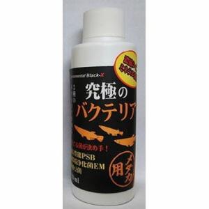 B-blast 究極のバクテリア メダカ用/120ml