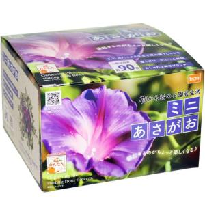 朝顔 種の商品一覧 通販 Yahoo ショッピング