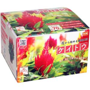 ケイトウ 種 種 種子 の商品一覧 花 ガーデニング 通販 Yahoo ショッピング