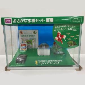 DCM おさかな水槽セット M : DCMオンライン - 通販 - Yahoo DCM おさかな水槽セット M : DCMオンライン - 通販 - Yahoo