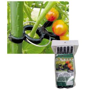 渡辺泰 くきキャッチ/10個入 黒/8 11mm支柱兼用