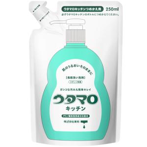 ウタマロ ウタマロキッチン/詰替 250ml｜dcmonline