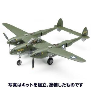 TAMIYA 1/48ロッキードP-38F/Gライトニング/61120 1/48　傑作機シリーズ　No.120｜dcmonline