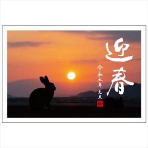 フタバ 卯年お年玉年賀はがき うさぎ写真 3枚入/2023_UTA-01 うさぎ写真/100×148mm