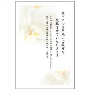 フタバ 普通郵便はがき 喪中見舞い 3枚入/2023_LP-04 喪中見舞い/100×148mm