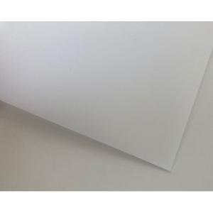 アクリサンデー アクリルマット板 アクリル板 マット乳白 450x600x2mm 最安値 価格比較 Yahoo ショッピング 口コミ 評判からも探せる