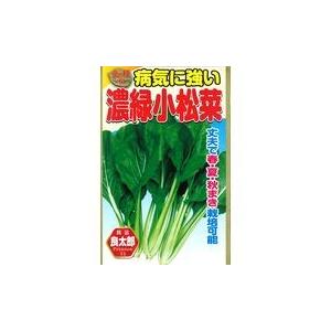 アタリヤ農園 金の種　病気に強い濃緑小松菜 小松菜