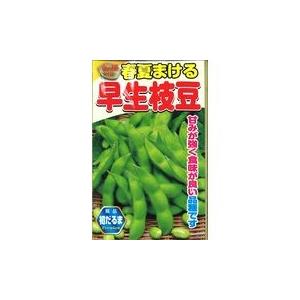 アタリヤ農園 金の種 早生枝豆 Dcmオンライン 通販 Paypayモール