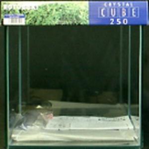 寿工芸(株) クリスタルキューブ 250