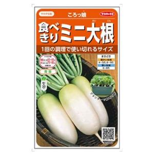 サカタのタネ ミニ大根　ころっ娘