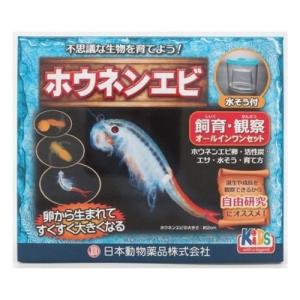 エビ飼育セット 水槽 の商品一覧 熱帯魚 アクアリウム用品 ペット用品 生き物 通販 Yahoo ショッピング