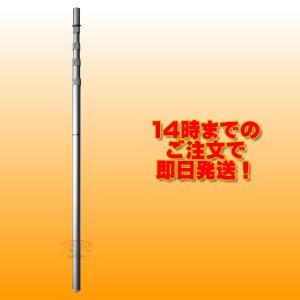 第一電波工業 AS603 ダイヤモンド アンテナポール DAP450/DAP600 専用