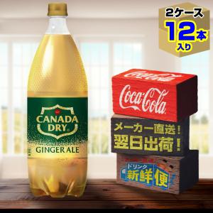 GINGER ALE（ジンジャーエール） カナダドライ 500ml 24本入1ケース